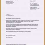 Fantastisch Otelo Kündigung Vorlage