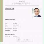 Fantastisch Professioneller Lebenslauf Vorlage Kostenlos Lebenslauf