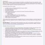 Fantastisch Schön Arbeitsanweisung Vorlage Word