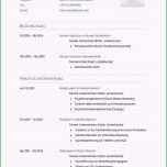 Fantastisch Schuler Lebenslauf Muster Beispiel Vorlage Vorstellung