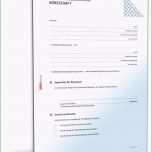 Fantastisch Selbstschuldnerische Bürgschaft Muster Vorlage Zum Download