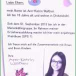 Fantastisch Steckbrief Kindergarten Praktikum Vorlage Steckbrief