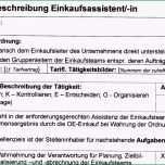 Fantastisch Stellenbeschreibung Einkaufsassistent In