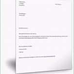 Fantastisch Stromanbieter Kndigen sonderkndigungsrecht Vorlage Genial