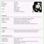 Fantastisch Studenten Lebenslauf Beispiel Beruhmt Lebenslauf Vorlage