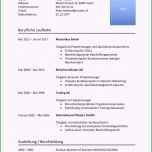 Fantastisch Sympathisch Tabellarischer Lebenslauf Bild Tabellarischer