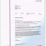 Fantastisch Teilkündigung Mietvertrag