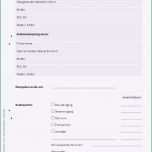 Fantastisch Unfallbericht Vorlage Word