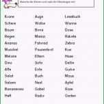 Fantastisch Unglaubliche Buchvorstellung Klasse 2 Vorlage