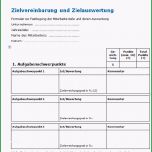 Fantastisch Vorlage Zielvereinbarung Und Zielauswertung