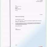 Fantastisch Widerruf Kaufvertrag Mit Ratenzahlung Muster Vorlage Zum