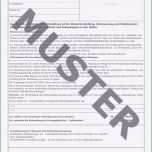 Fantastisch Wunddokumentation Vorlage