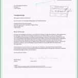 Faszinieren 12 Steuerbescheid Muster