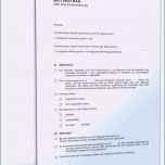 Faszinieren 13 Vorlage Vertragskündigung