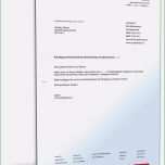 Faszinieren 14 Kündigung Douglas Card