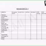 Faszinieren 14 Reinigungsplan Vorlage Kostenlos