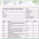 Faszinieren 15 Wartungsplan Maschinen Vorlage