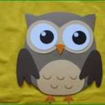 Faszinieren 16 Besten Eulen Bilder Auf Pinterest