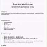 Faszinieren 16 Vorlagen Entschuldigung Schule