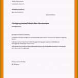 Faszinieren 17 Kündigung Einzugsermächtigung Vorlage