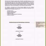 Faszinieren 17 Ratenzahlung Vorlage Kostenlos