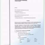 Faszinieren 18 Praktikumszeugnis Vorlage Pdf