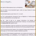 Faszinieren 18 Tagesbericht Praktikum Vorlage Zum Ausdrucken