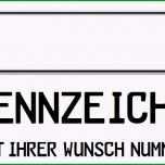 Faszinieren 2 Eu Kfz Kennzeichen 420 X 110 Mm Für Pkw Transporter