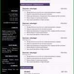 Faszinieren 20 Lebenslauf Vorlage Open Office