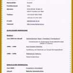 Faszinieren 20 Schulischer Lebenslauf Vorlage