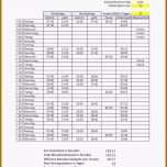 Faszinieren 9 Arbeitszeit Vorlage Excel