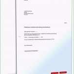 Faszinieren Agb Vorlage Kostenlos Genial Agb Line Shop Für