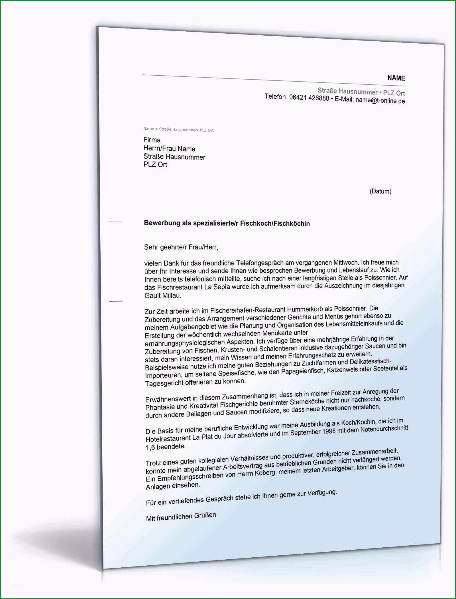 bewerbung koch