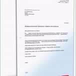 Faszinieren Außerordentliche Kündigung Versicherung