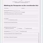 Faszinieren Befund Physiotherapie Vorlage Glamourös Befund