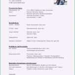Faszinieren Begrenzt Lebenslauf Einfach Tabellarisch