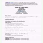 Faszinieren Bewerbung Ferienjob Vorlage Kollektionen Von Designs