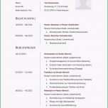 Faszinieren Bewerbung Für Schülerpraktikum 77 Lebenslauf Muster