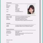 Faszinieren Bewerbung Schülerpraktikum Grundschule Vorlage