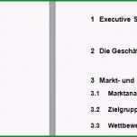 Faszinieren Businessplan Word Vorlage