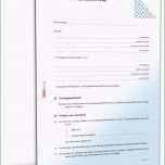 Faszinieren Domain Nutzungsvertrag Muster Als Pdf &amp; Word Zum Download