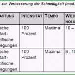 Faszinieren Einzigartig 25 Beispieletrainingsplan Pferd Vorlage