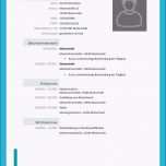 Faszinieren Handgeschriebener Lebenslauf Handgeschriebener Lebenslauf