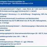 Faszinieren Kfw Businessplan Kostenlos Businessplan Vorlage Kostenlos