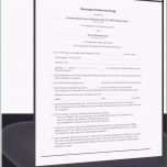 Faszinieren Kundigung Internet Vorlage Word Gesprachsprotokoll Vorlage