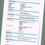 Faszinieren Lebenslauf Erzieherin Vorlage