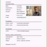 Faszinieren Lebenslauf Für Das Schülerpraktikum Muster Für Korrekten