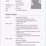 Faszinieren Lebenslauf Rückwärts Vorlage Hübsch 9 Lebenslauf