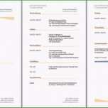 Faszinieren Lebenslauf Vorlage Frau Mit Kind Einzigartig Schön 30