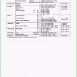 Faszinieren Liquiditätsplan Vorlage Excel Kostenlos